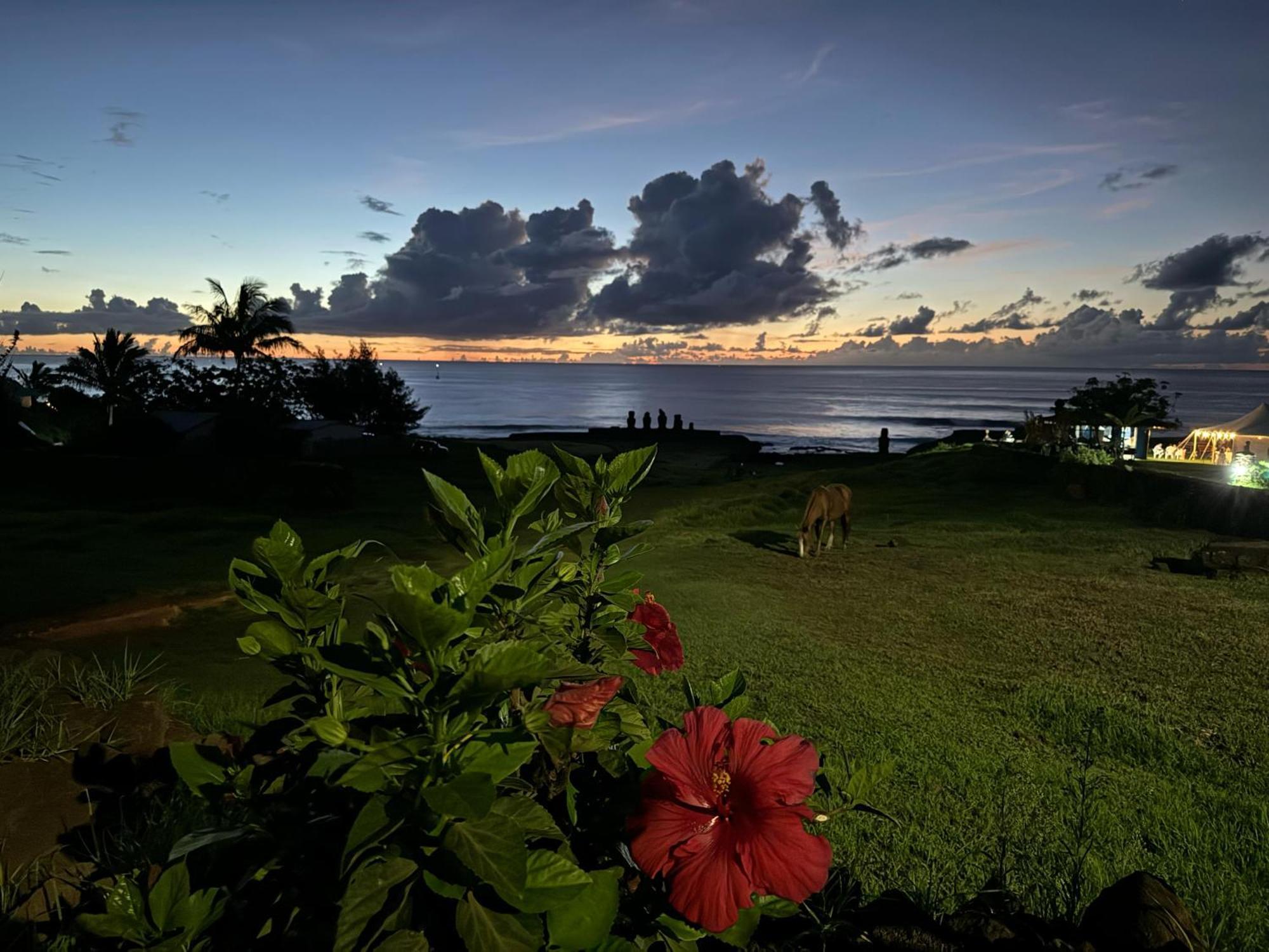 Cabanas Tangaroa Y Hamea Villa Hanga Roa Eksteriør bilde